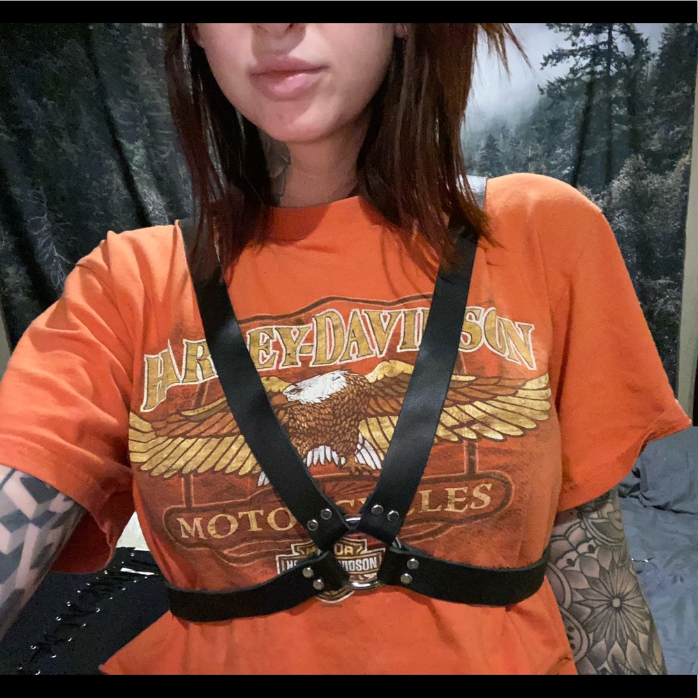Leather harness